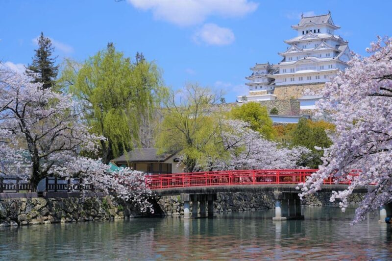 Walking Tour in Himeji : Castle, Garden and Indigo Dyeing - Key Points