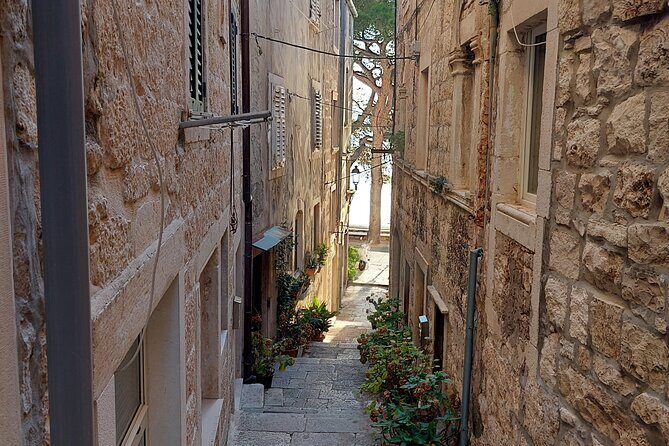 Walking Tour in old town Korcula 1 Hour - Who Should Book This Tour?