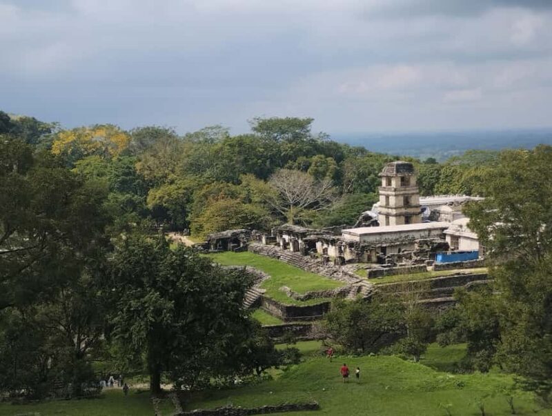 Walking tour in the archaeological site and jungle of Palenque - A Deep Dive into the Palenque Tour Experience