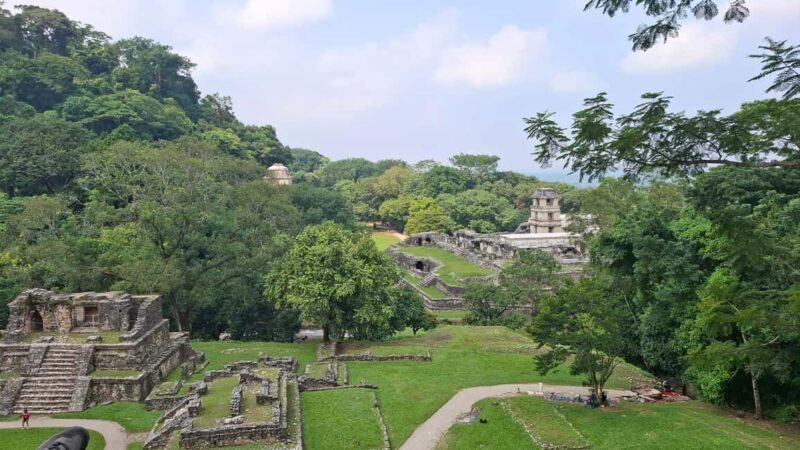 Walking tour in the archaeological site and jungle of Palenque - Frequently Asked Questions
