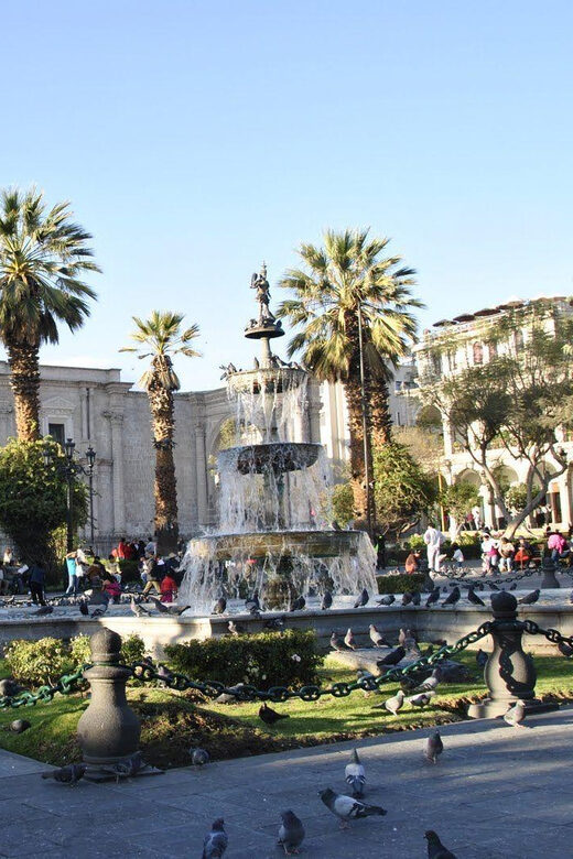 Walking tour in the Historic Center of Arequipa - Who Will Love This Tour?