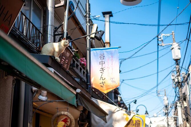 Walking Tour in Yanaka Nezu and Sendagi: Tea Ceremony & Old Tokyo - The Sum Up