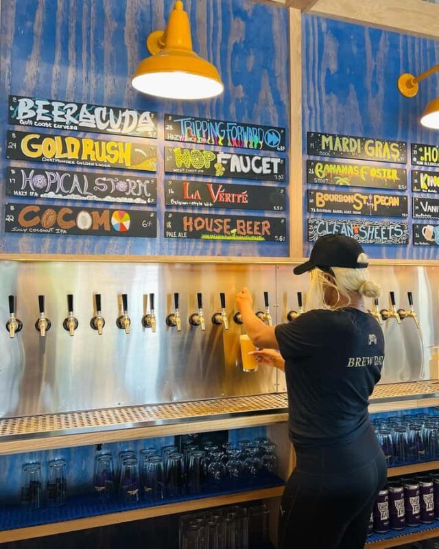 Walking Tour New Orleans Craft Breweries & Beer Flights - Discover the Flavors of New Orleans with a Craft Beer Tour