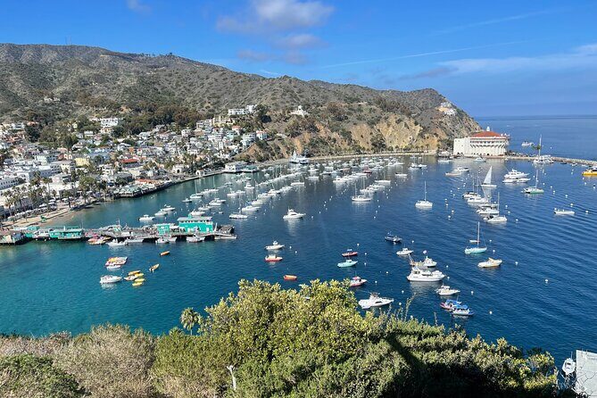 Walking Tour of California Adventure - Walking Tour of California Adventure: Explore Avalon’s Hidden Stories and Colorful Past