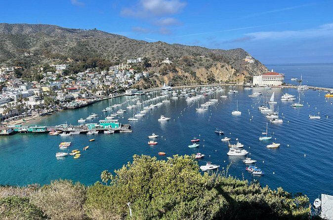 Walking Tour of California Adventure - In-Depth Review of the Avalon Walking Tour