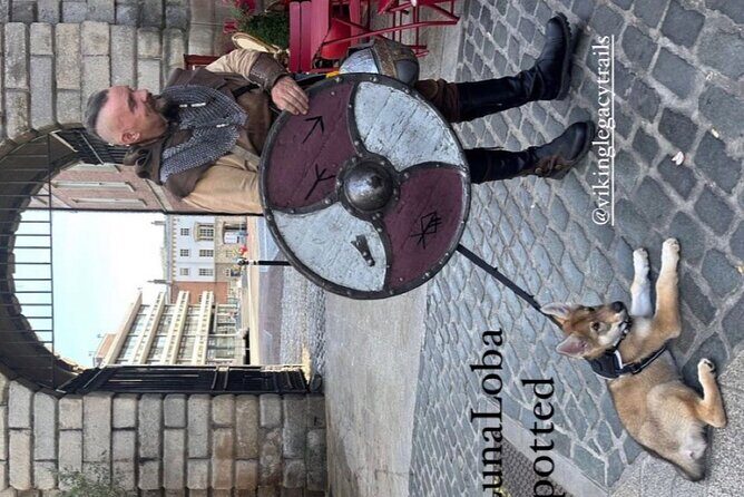 Walking Tour of Dublins Viking/Medieval Quarter with a Viking - The Value for Money