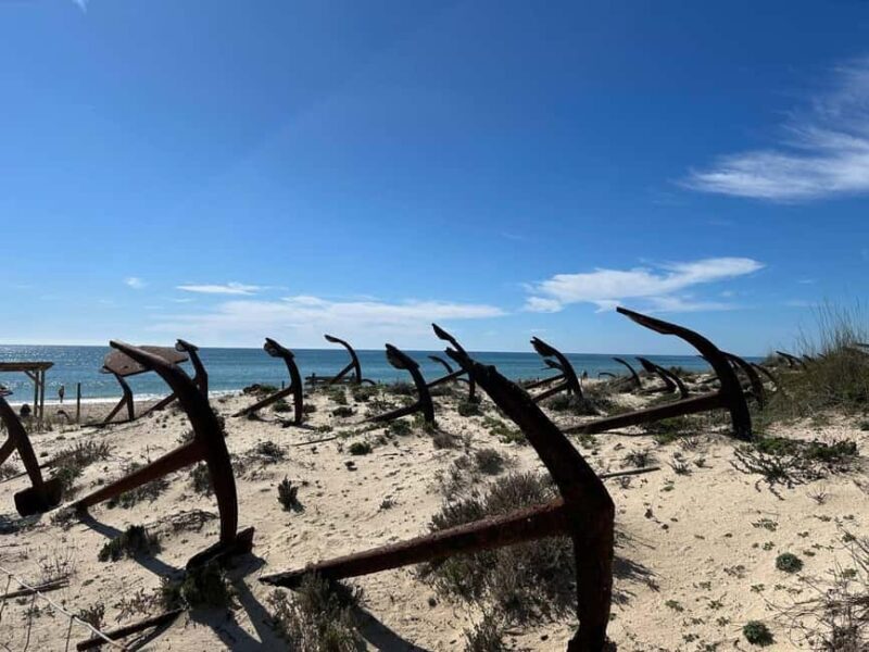 Walking tour of Tavira/Ilha de Tavira/Barril/Santa Luzia - Key Points