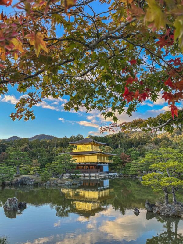 Walking Tour of Western Kyoto: Arashiyama, Kinkakuji and Koboshi - Arashiyama: Tenryu-ji, bamboo and the bridge