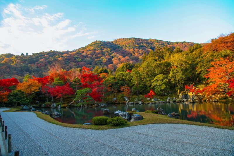 Walking Tour of Western Kyoto: Arashiyama, Kinkakuji and Koboshi - Kinkaku-ji: the golden finish