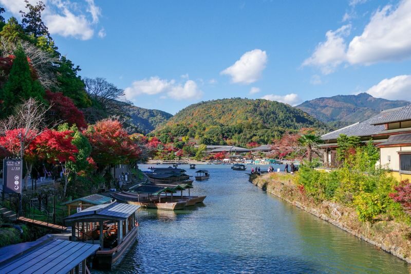 Walking Tour of Western Kyoto: Arashiyama, Kinkakuji and Koboshi - What the guide adds