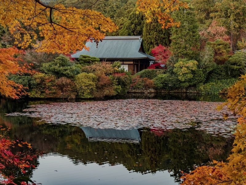 Walking Tour of Western Kyoto: Arashiyama, Kinkakuji and Koboshi - Is $140.65 good value?