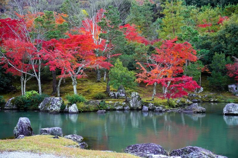 Walking Tour of Western Kyoto: Arashiyama, Kinkakuji and Koboshi - Should you book?