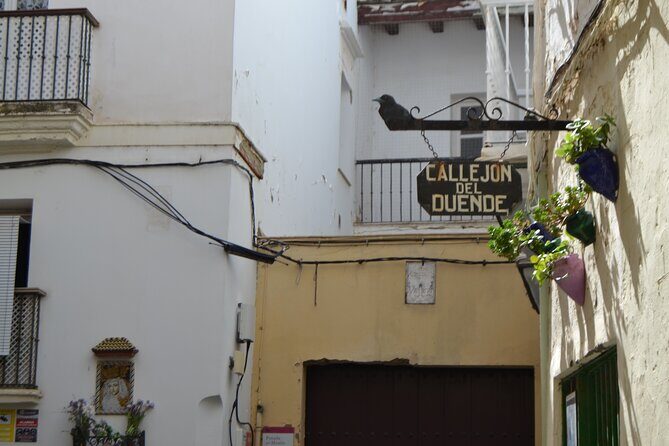 Walking Tour through Cádiz: Stories from the hand of a local guide - Practical Considerations