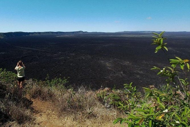 Walking Tour to Sierra Negra volcano and Chico Volcano from Isabela Island - Final Thoughts