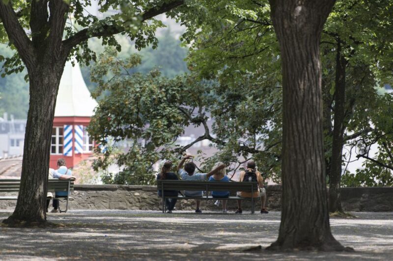 Walking Tour with the Night Watchman - Who Should Consider This Tour?