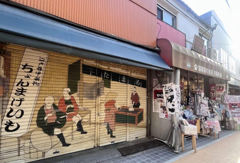 Walking Tour: Yanaka,Nezu& Sendagi: Tea Ceremony & Old Tokyo - Walking Tour: Yanaka, Nezu & Sendagi — Tea Ceremony & Old Tokyo