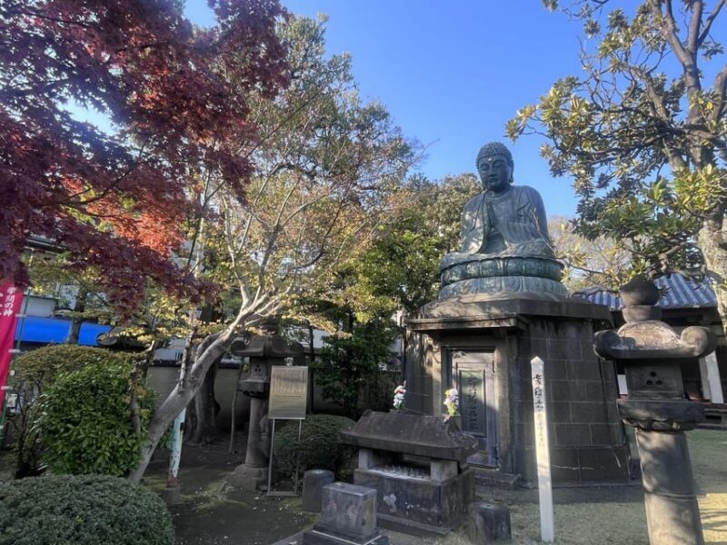 Walking Tour: Yanaka,Nezu& Sendagi: Tea Ceremony & Old Tokyo - What’s Included & Practicalities