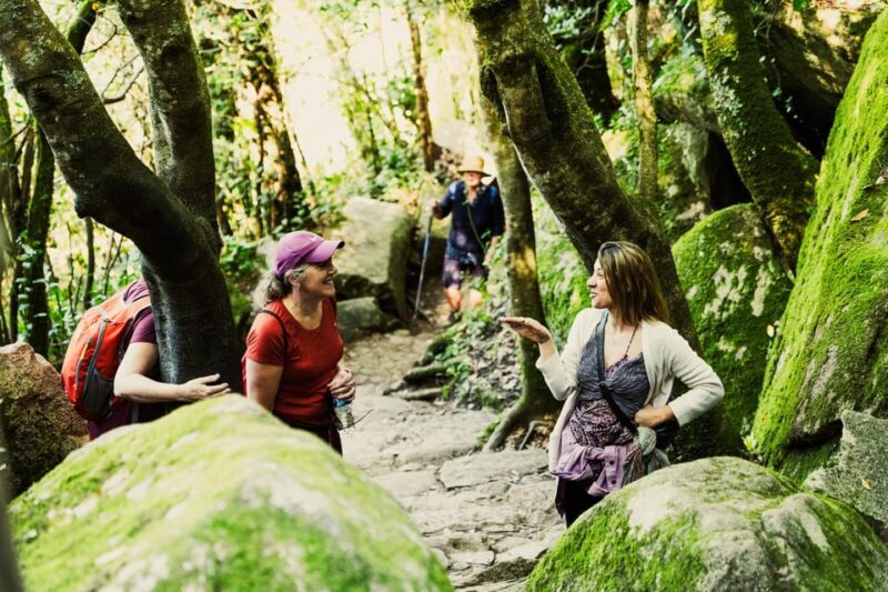 Walking tour:Pena Palace, Moorish Castle,Quinta da Regaleira - Frequently Asked Questions