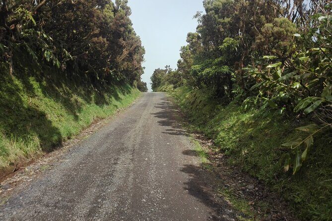 Walking trail, Tasting session and Kayaking - Key Points