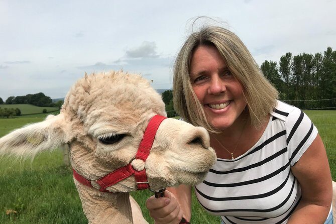Walking with Alpacas - Key Points