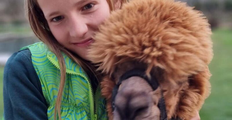 Walking with alpacas - Domaija Loncnar - Bohinj - Who Should Try This Experience?