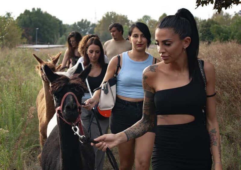 Walking with Alpacas in Turin: an experience of nature in the city - FAQ