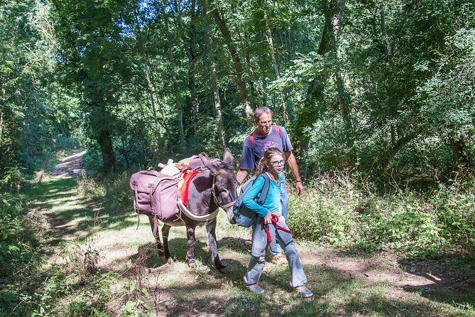 Walks and hikes with donkeys - Experience a Unique Donkey Walks and Hikes Near Lyon