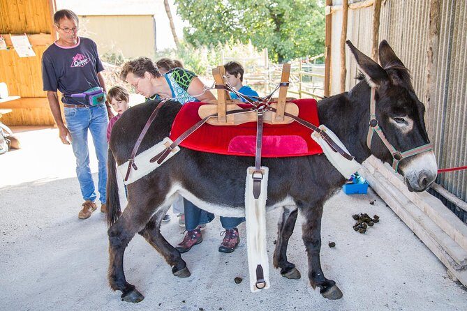 Walks and hikes with donkeys - FAQs
