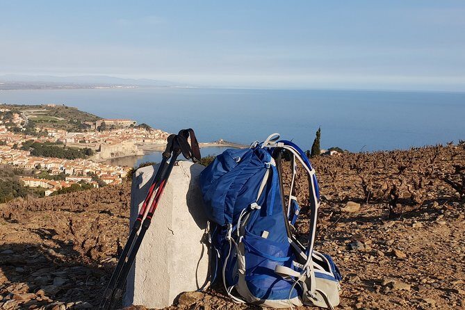 Walks in the heart of the secret vineyards around Collioure, tastings - Discover Collioure’s Hidden Vineyards with a Guided Walk and Tasting Experience