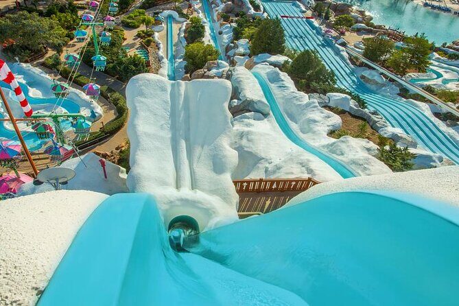 Walt Disney World Admission with Water Park and Sports Option - Who Should Consider This Tour?