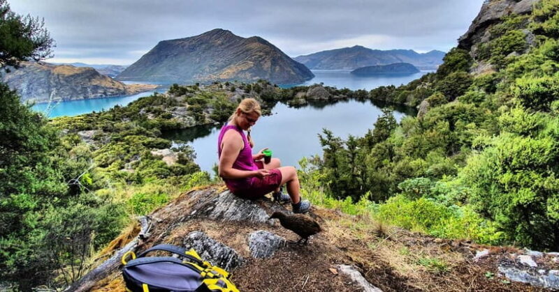 Wanaka: Mou Waho Island Boat Tour and Nature Walk - An In-Depth Look at the Mou Waho Island Tour