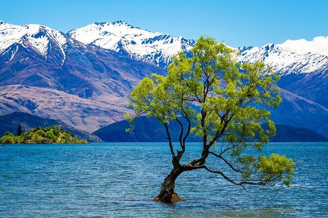 Wanaka Private Day Trip from Queenstown: TravelnGo - Discover the Best of Wanaka and Surroundings in a Private Day Trip from Queenstown