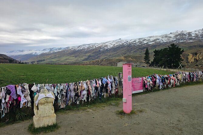Wanaka Private Day Trip from Queenstown: TravelnGo - What Travelers Say About This Tour