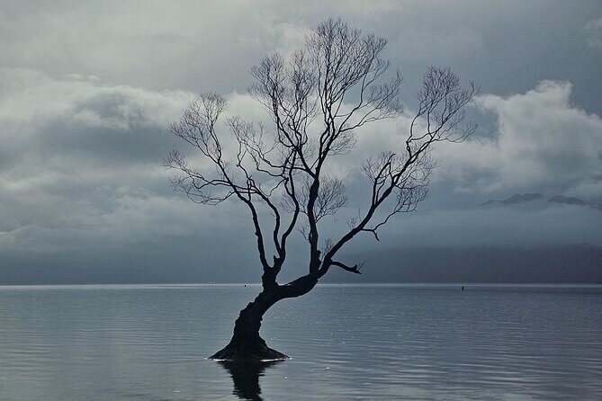 Wanaka Private Day Trip from Queenstown: TravelnGo - The Sum Up: Why This Tour Works for You