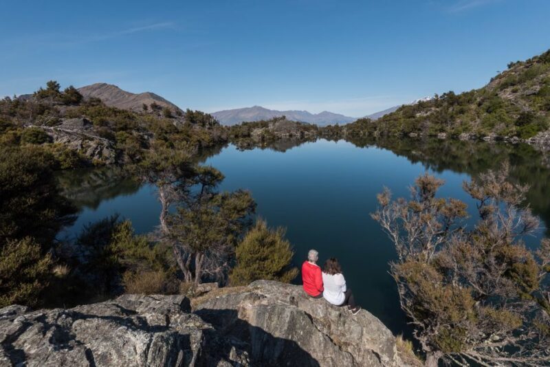 Wanaka: Water Taxi & Mou Waho Island Tour - Encountering the Weka and Other Birds