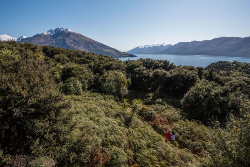 Wanaka: Water Taxi & Mou Waho Island Tour - Practical Tips for Your Trip