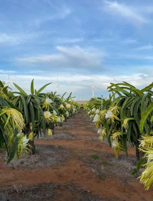 Wanderlust Mui Ne Tour: Sunset or Sunrise Shared Jeep Tour - Final Thoughts