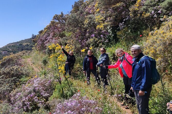 Wanderungen im grünen Gran Canaria - Who Will Appreciate This Tour