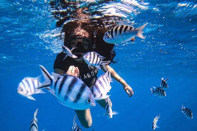 Want to escape? Treat yourself to a snorkeling session in Tahiti! - Want to escape? Treat yourself to a snorkeling session in Tahiti!
