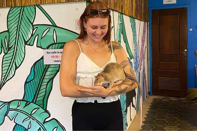 War Museum, Killing Field, and APOPO Hero RATs Tour - Key Points