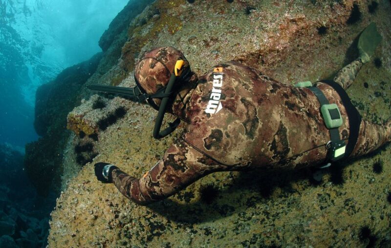 Warkworth: Full-Day Spearfishing Charter - Who Should Consider This Experience?