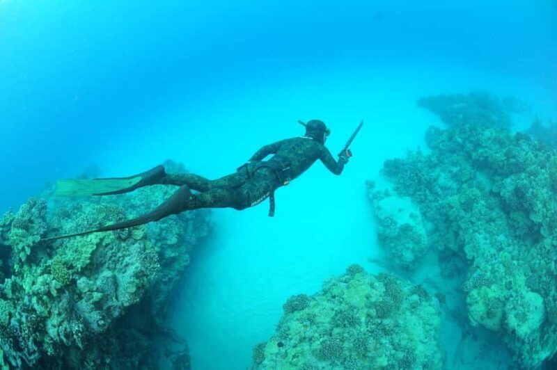 Warkworth: SSI Basic Freediving Course - Warkworth: SSI Basic Freediving Course — A Practical and Authentic Intro to Freediving in New Zealand