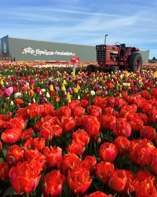 Warmond: Kagerplassen Cruise with "Tulip Experience" Ticket - Who Is This Tour Best For?