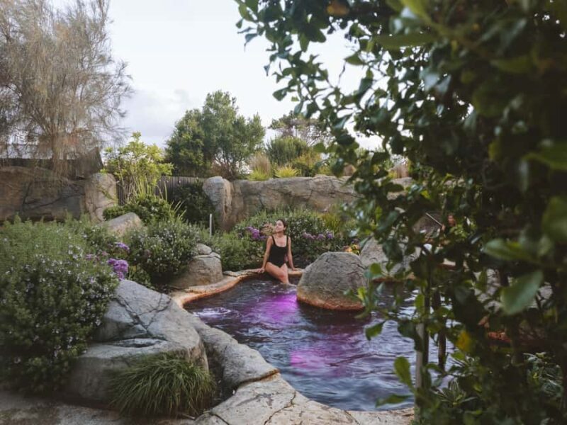 Warrnambool: Hot Springs Sanctuary Experience - Who Is This Tour Best For?