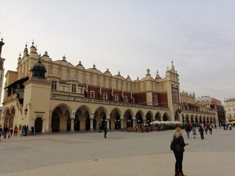 Warsaw: Auschwitz-Birkenau and Krakow Tour by Car - Who Will Benefit Most from This Tour?