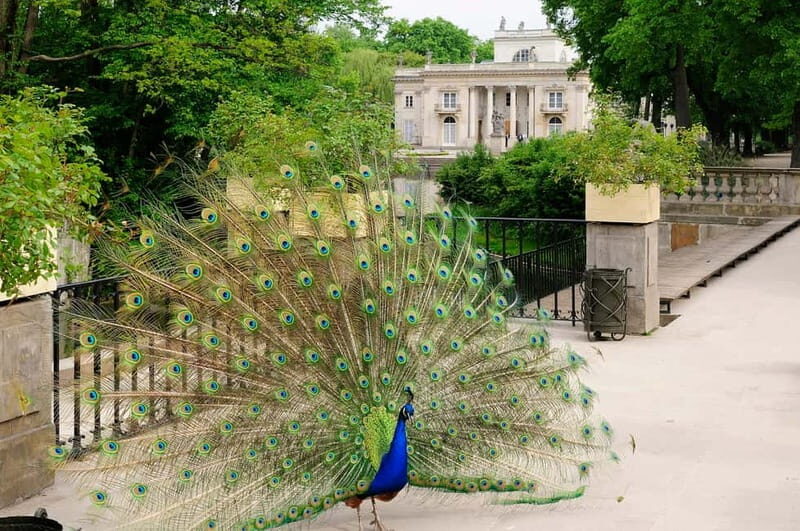 Warsaw Half-Day Private Panoramic Tour - The Value of a Private Guide Experience