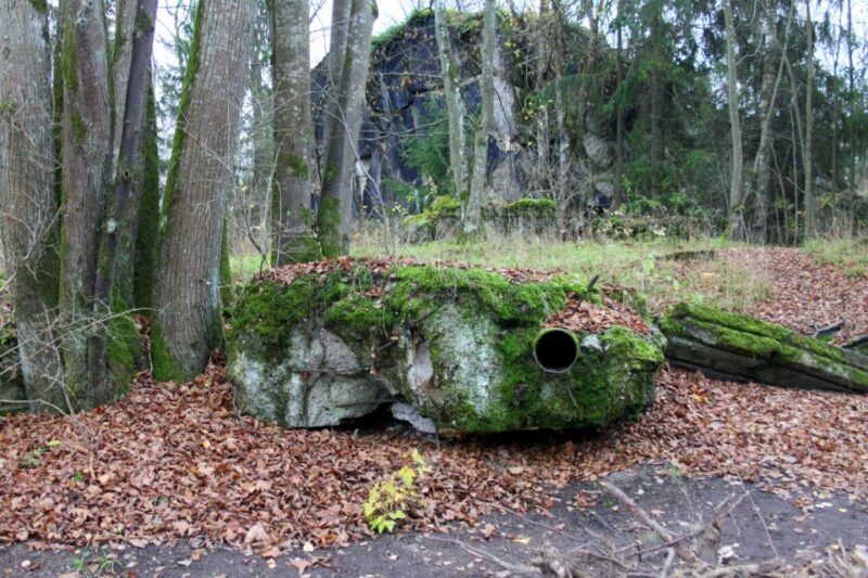 Warsaw: Private Full-Day Wolf's Lair Tour - Exploring the Wolf’s Lair: A Deep Dive