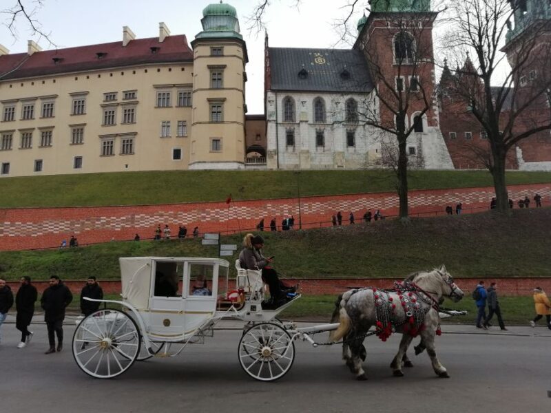 Warsaw: Tour to Krakow and Auschwitz by Train with Pickup - Frequently Asked Questions
