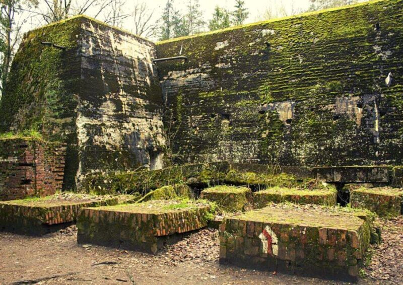 Warsaw: Wolf's Lair & Swieta Lipka Small-Group Tour + Lunch - Practical Details and Value