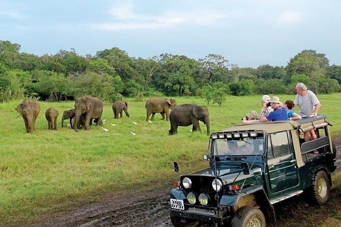 Wasgamuwa National Park Entrance Ticket with Private Safari - FAQ